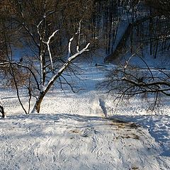 photo "Ice-hill"