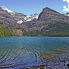 photo "Lake O'hara from ground view"