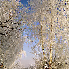 photo "Russian winter"