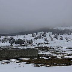 photo "Aubrac"
