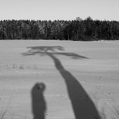 фото "Фотограф и дерево."