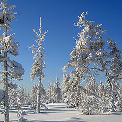 фото "Февраль"