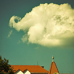 photo "***"