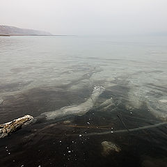 photo "White Sea"