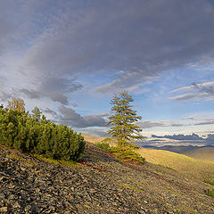 photo "Ascetic mountain evening landscape"