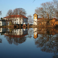 photo "Reflection"