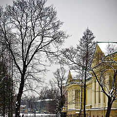 фото "из последних зимних на Каменном острове (2)"