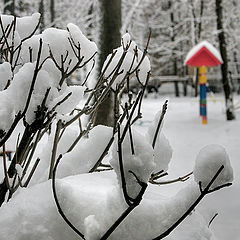 photo "The children's playground"