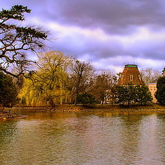 photo "Loneliness of swan"