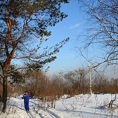 фото "Лыжник"