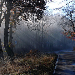 фотоальбом "Nature, landscapes"