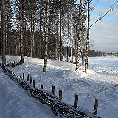 photo "Leaving Winter"