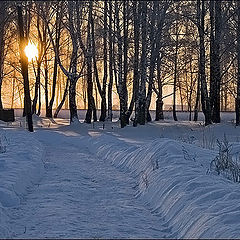 фото "утро"