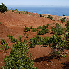 photo "RED - GREEN - BLUE"