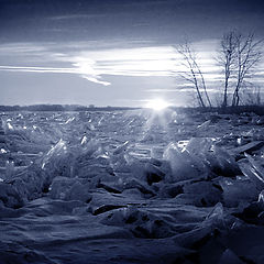 photo "Last grin of winter"