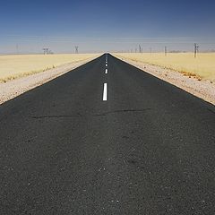 фото "The ideal road"