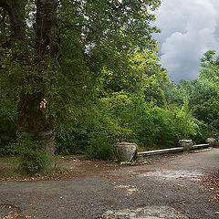 фото "Перед грозой"