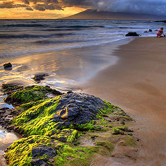 photo "Playing on a sand"