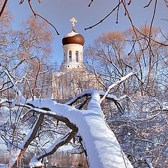 фото "Картинки из "мусорной" корзинки (2)"