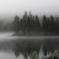 photo "Misty morning"