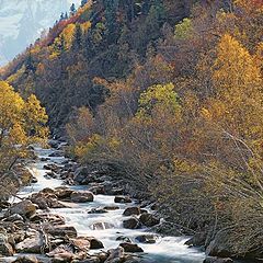 photo "The mountain river in paints of a mellow autumn"