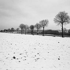 фото "road"