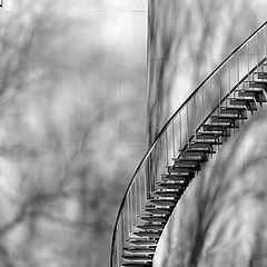 photo "Stairs"