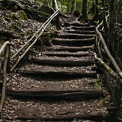 фото "La Gomera - Parque Nacional"