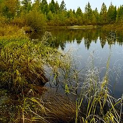 фото "Озеро"