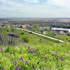 фото "Donskoe razdol`e"