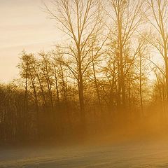 фото "misty sunday morning"