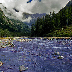 photo "the river"