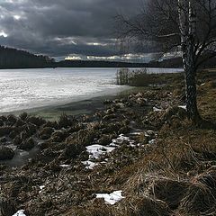 фото "весна в контр...ажуре"