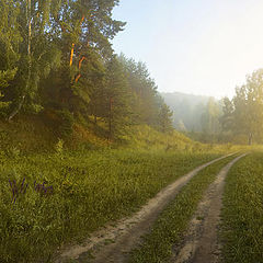 photo "Morning after a thunder-storm."