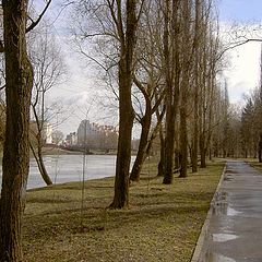 фото "Весной в парке"