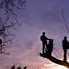 фото "clouds"