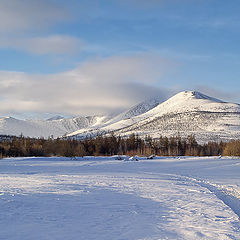 photo "One spring day in winter"