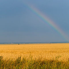 фото "Дауга. Август"