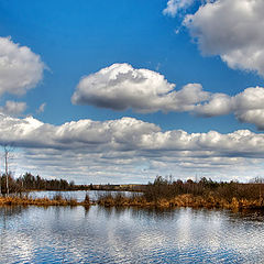 фото "Полесье"