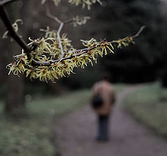 фото "The autumn and sadness"