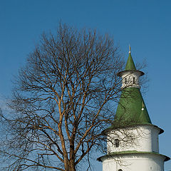 фото "Дерево и башня."