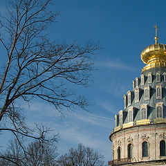 фото "Дерево и храм."