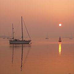 фото "Foggy morning sunrise"