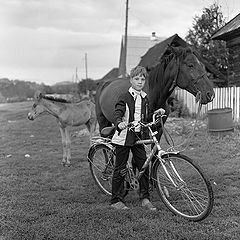 photo "Horseman"