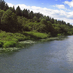 фото "На реке, на Протве"