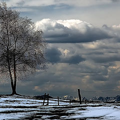 photo "Evening watch"