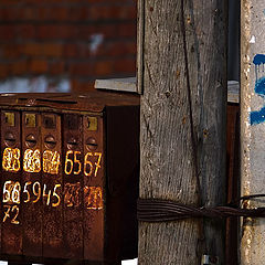 photo "Digits"