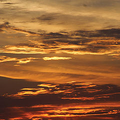 photo "***"