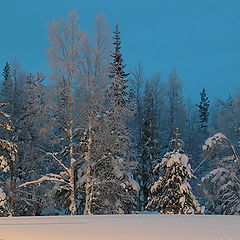 photo "Short winter day"