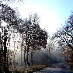 photo "Shumen Plateu II"